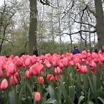 アパート Hauswirth With Private Parking ザントフォールト