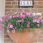 Hauswirth With Private Parking アパート ザントフォールト