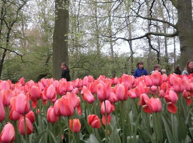 Apartamento Hauswirth With Private Parking Zandvoort