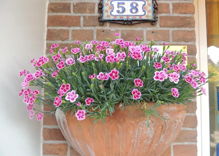 Hauswirth Apartment Zandvoort