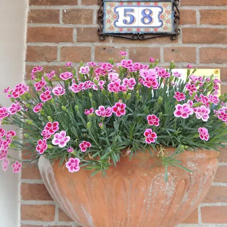 浩斯沃思公寓 公寓 赞德沃特